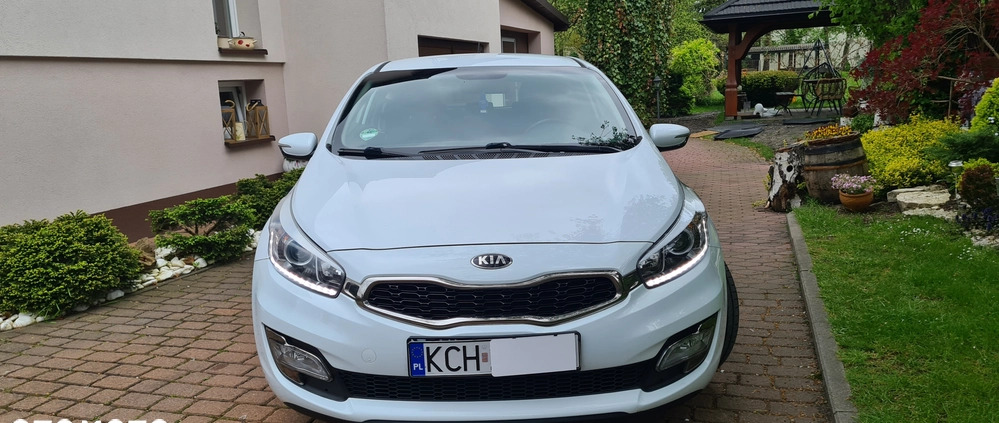 Kia Pro_cee'd cena 33900 przebieg: 190000, rok produkcji 2013 z Kietrz małe 781